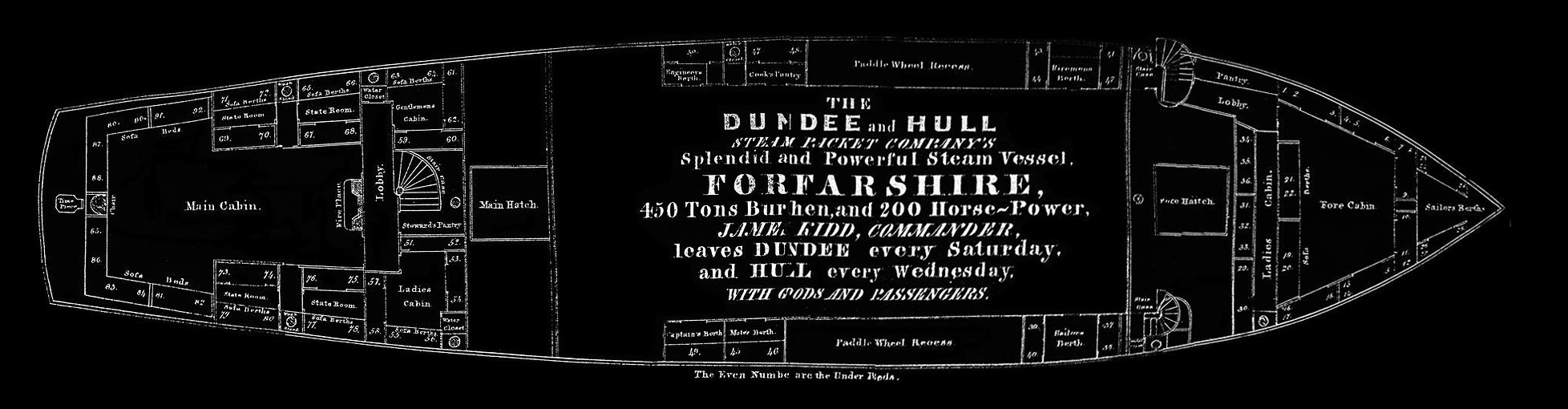 Forfarshire Deck Plan.jpg